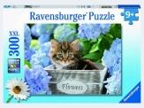 Ravensburger Puzzle XXL 300 Teile Kleine Katze